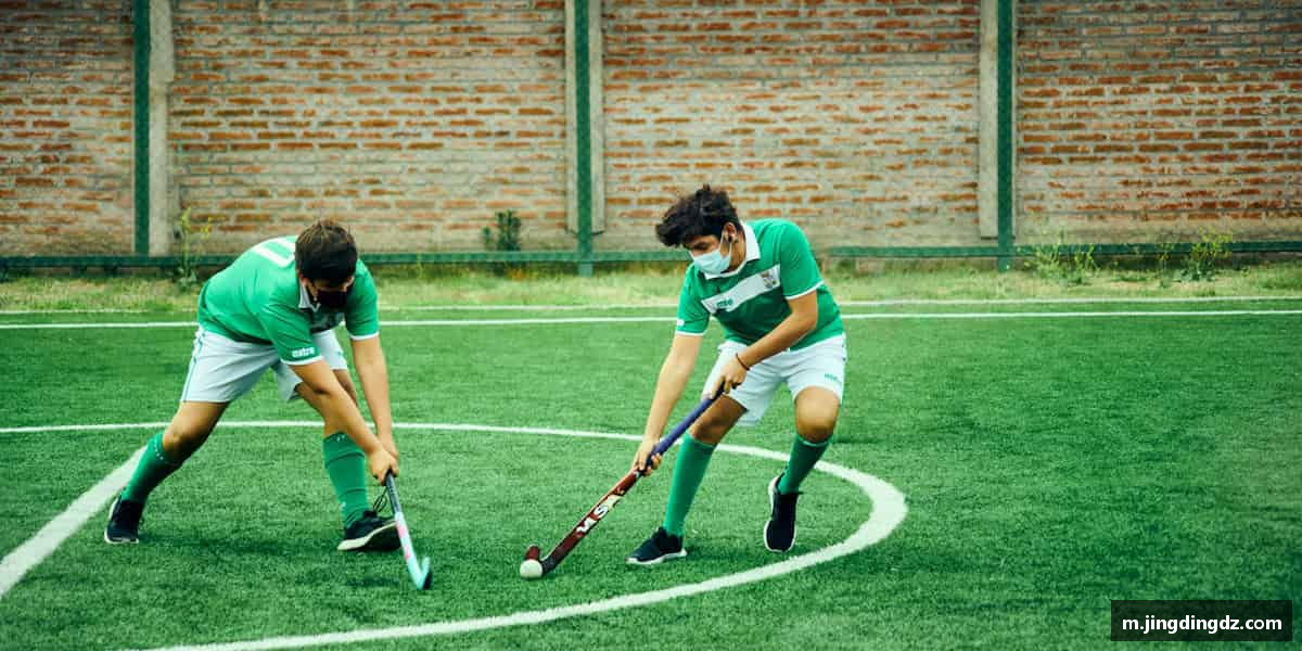 全力拼搏，成就辉煌人生。